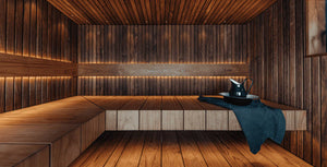 The Origin and Evolution of Saunas: From Ancient Ritual to Modern Wellness
